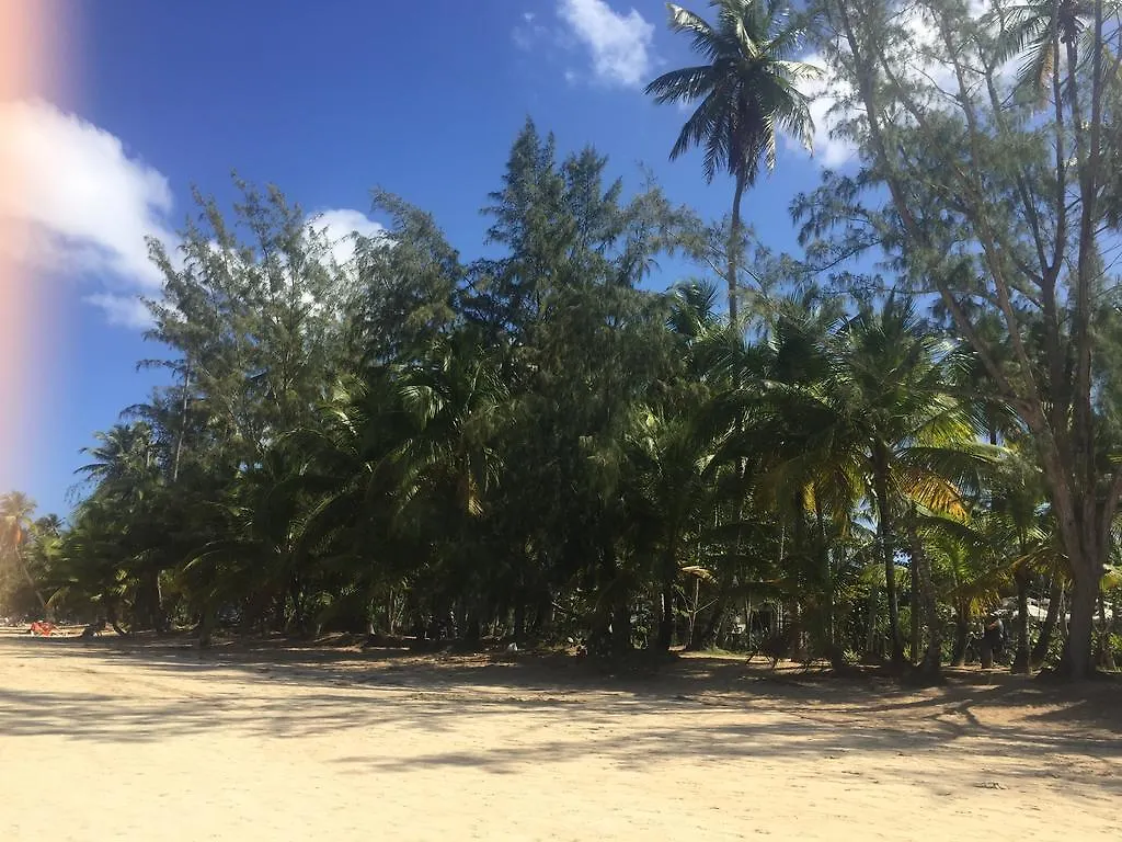 Guest house Appartamento Blu Las Terrenas